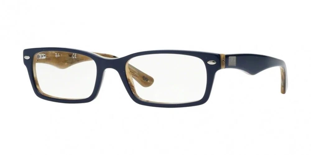 Ray-Ban 5206 Eyeglasses - view 10